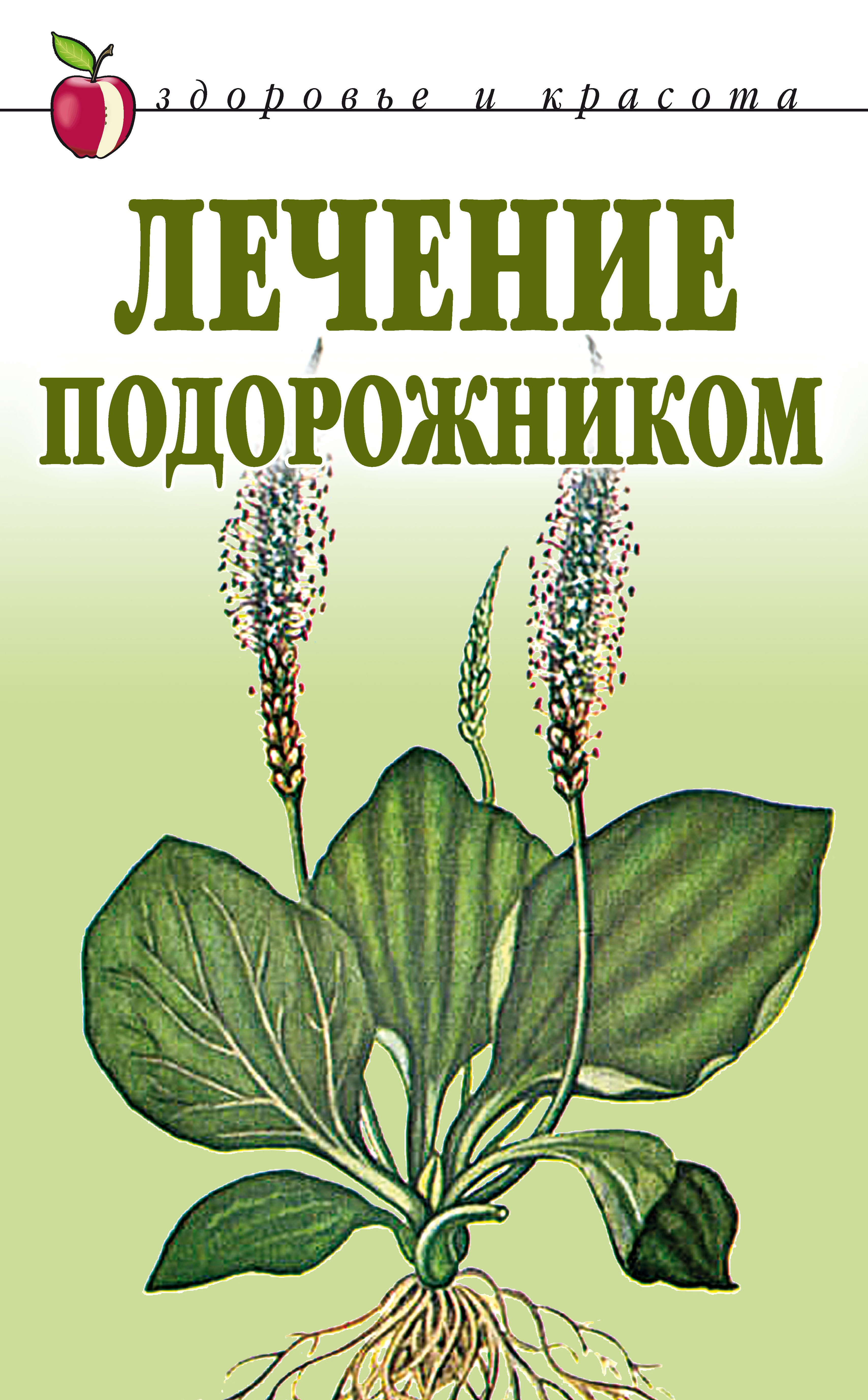 Лечение подорожником, Екатерина Алексеевна Андреева – скачать книгу fb2,  epub, pdf на ЛитРес