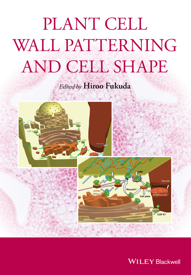 Hiroo Fukuda Plant Cell Wall Patterning and Cell Shape