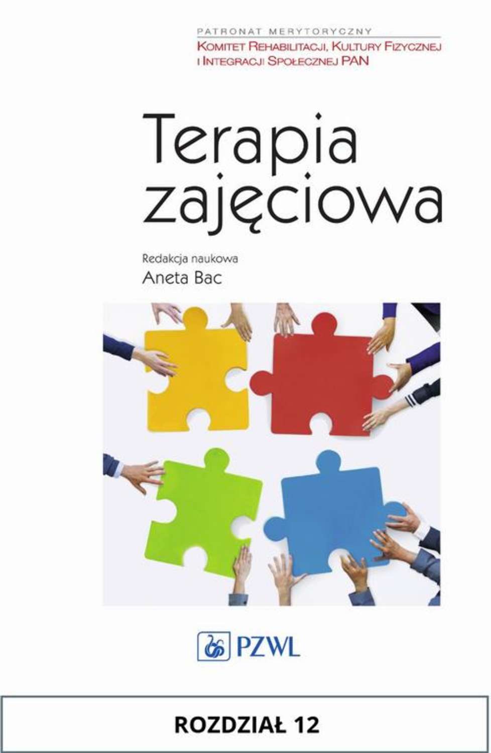 Terapia zajęciowa. Rozdział 12