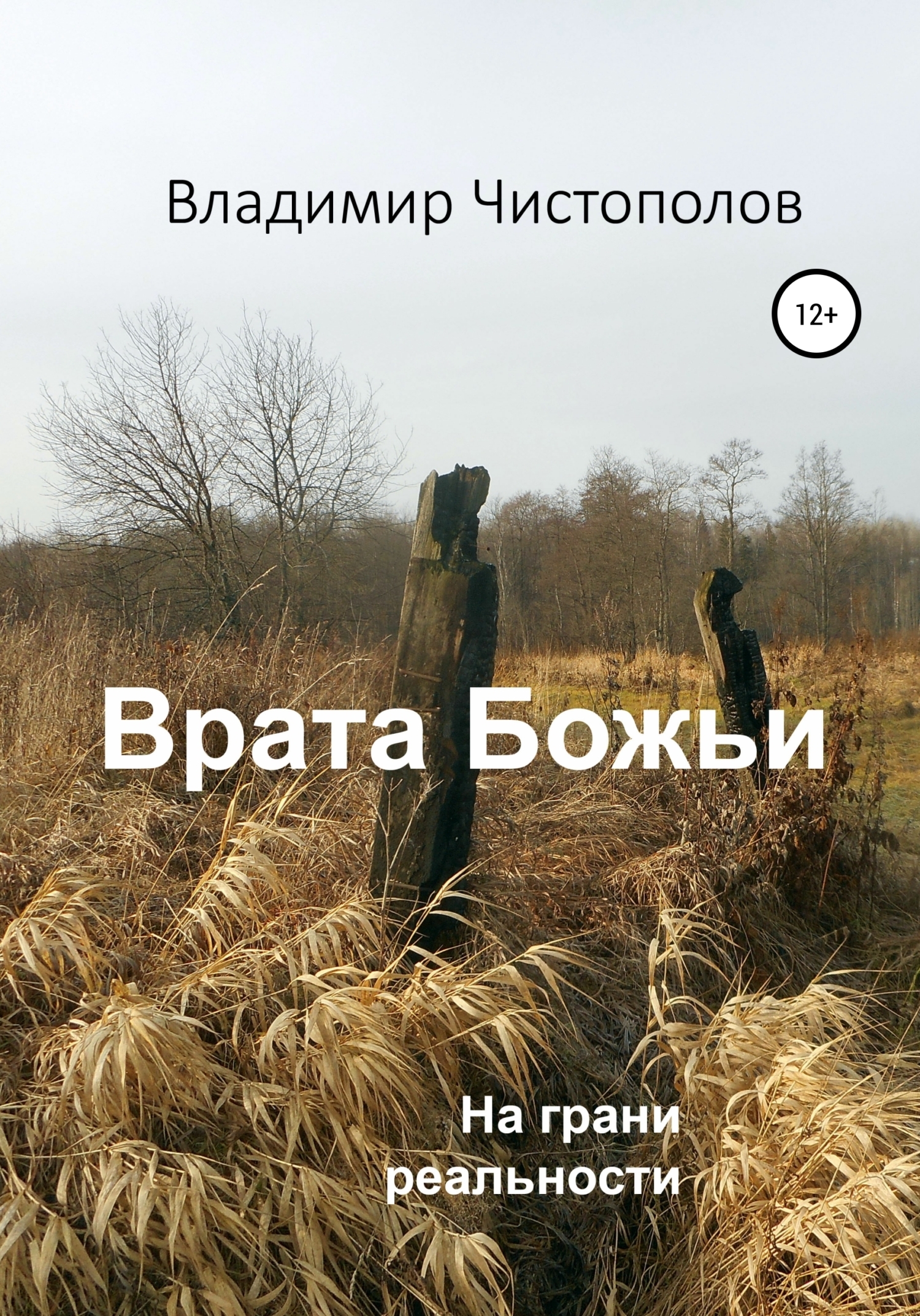 Обложка «Врата Божьи»