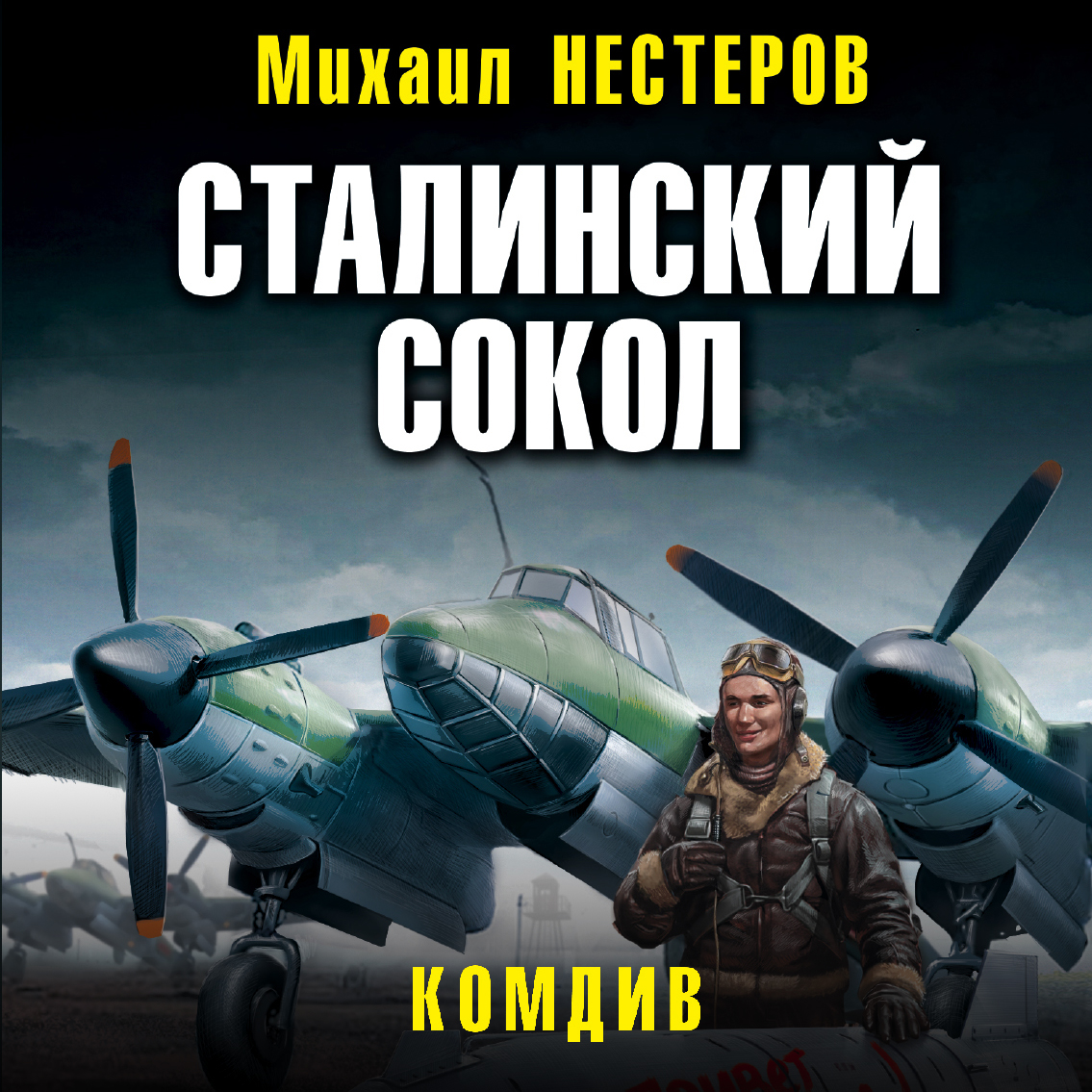 Обложка «Сталинский сокол. Комдив»