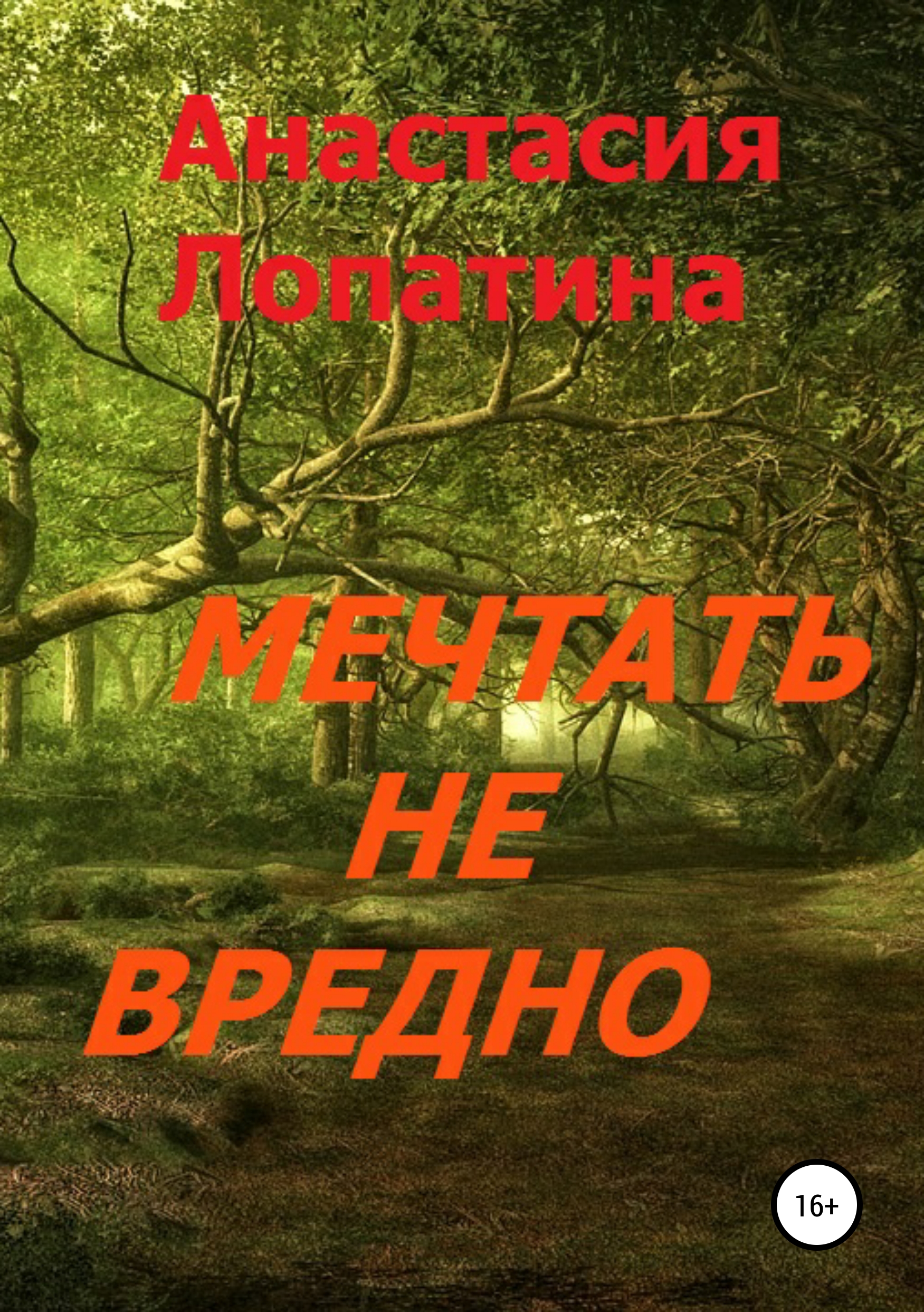 

Мечтать не вредно