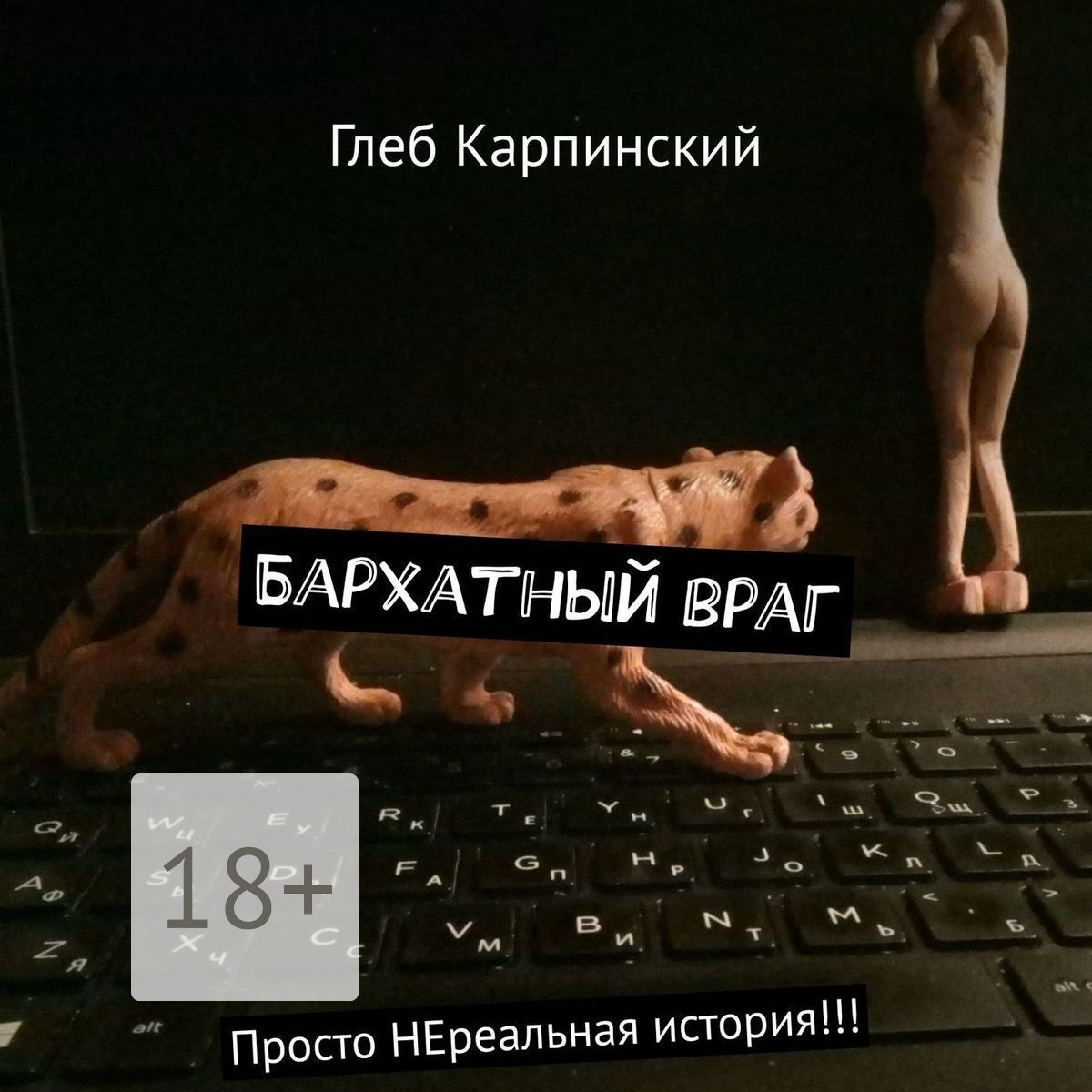 Обложка «Бархатный враг. Просто НЕреальная история!!!»