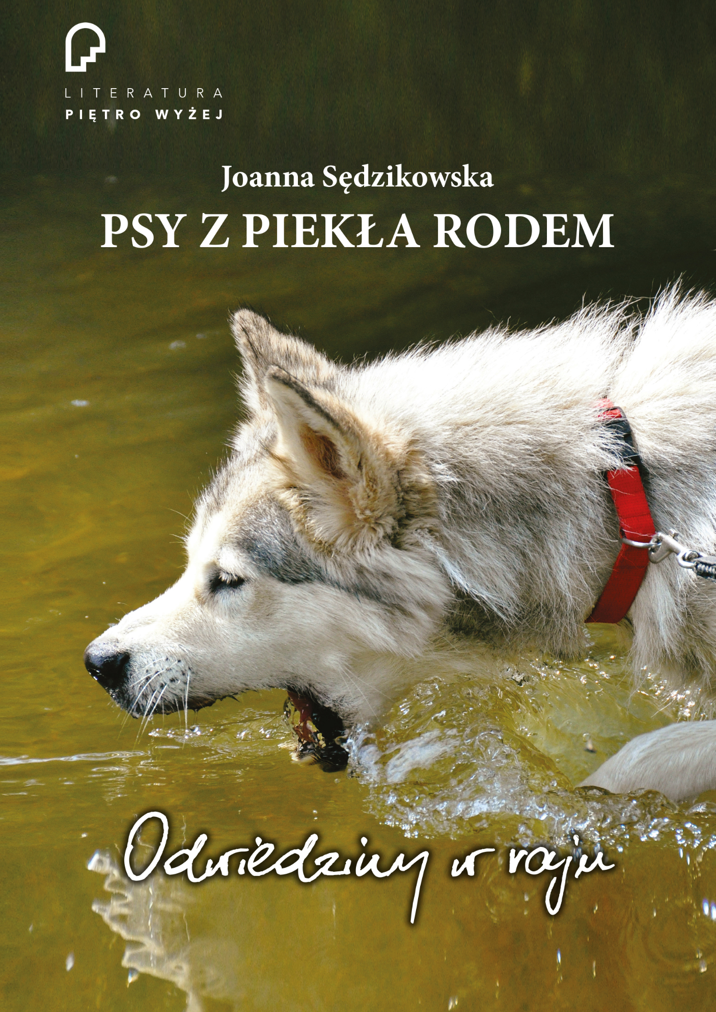 

Psy z piekła rodem