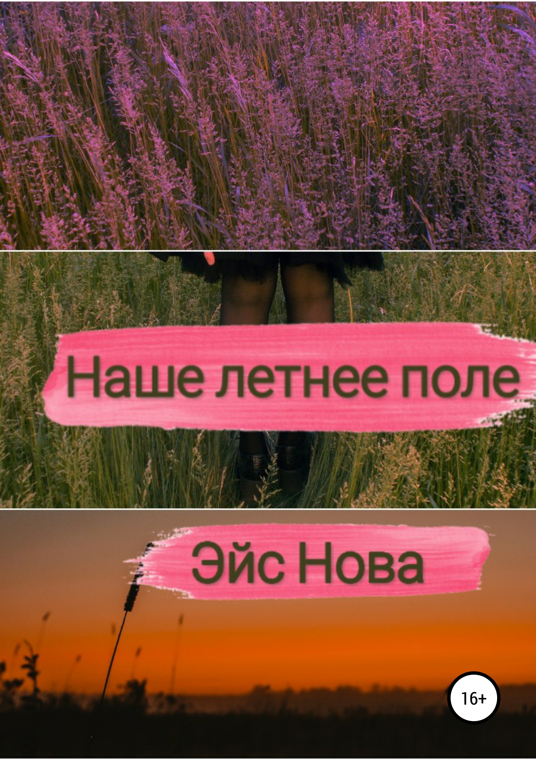 Обложка «Наше летнее поле»