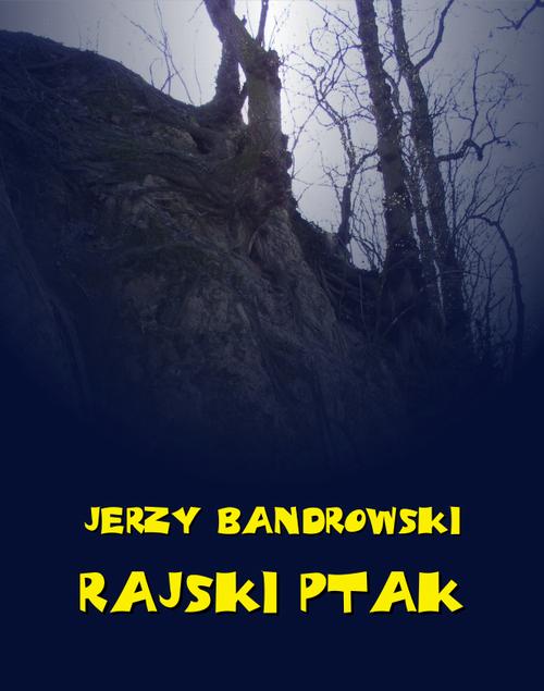 Обложка «»