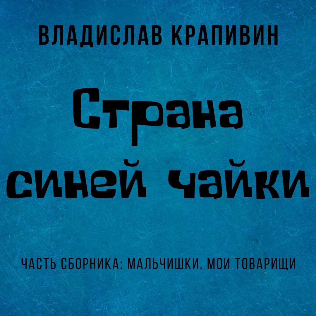 Обложка «Страна Синей Чайки»