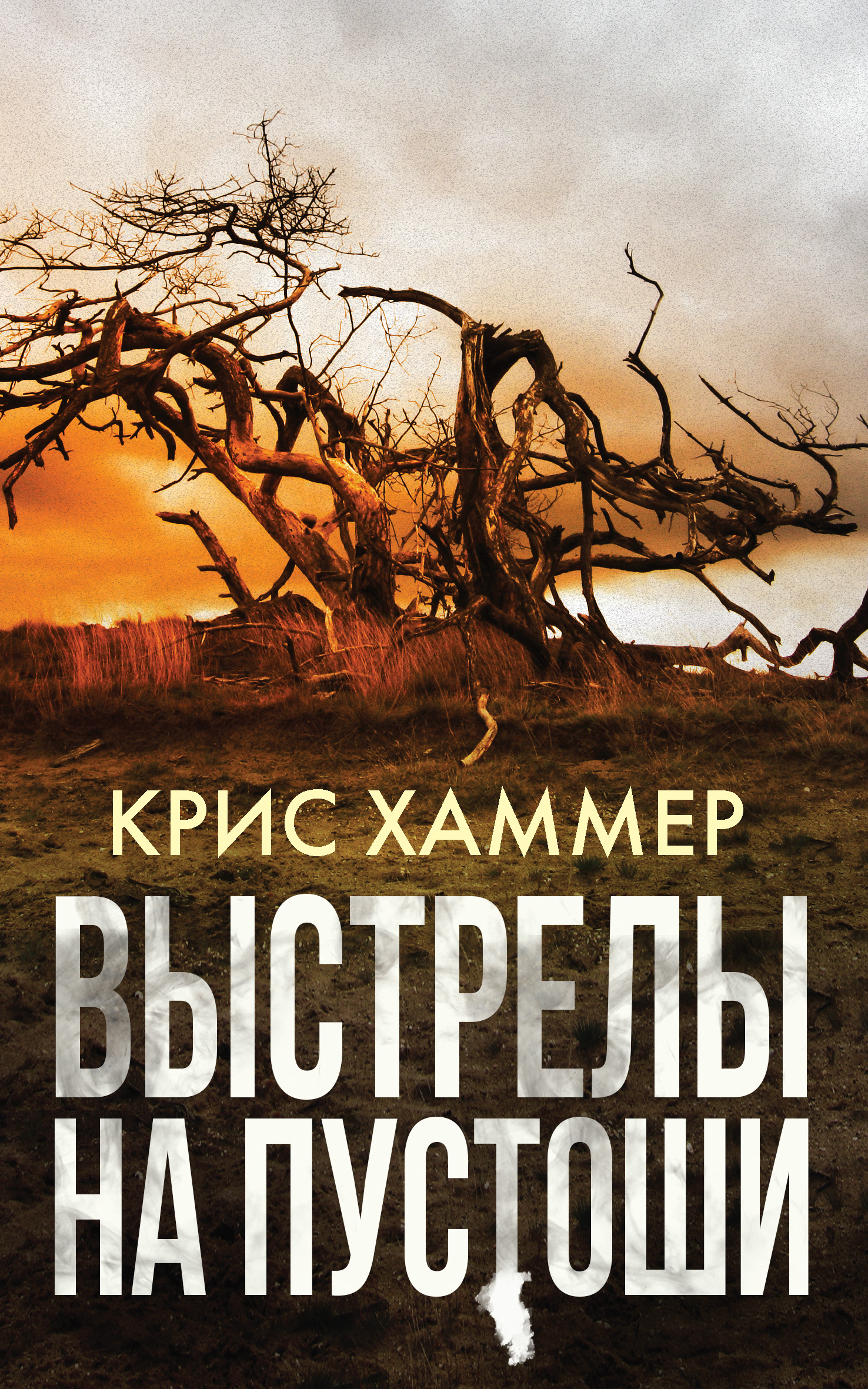 Обложка «Выстрелы на пустоши»