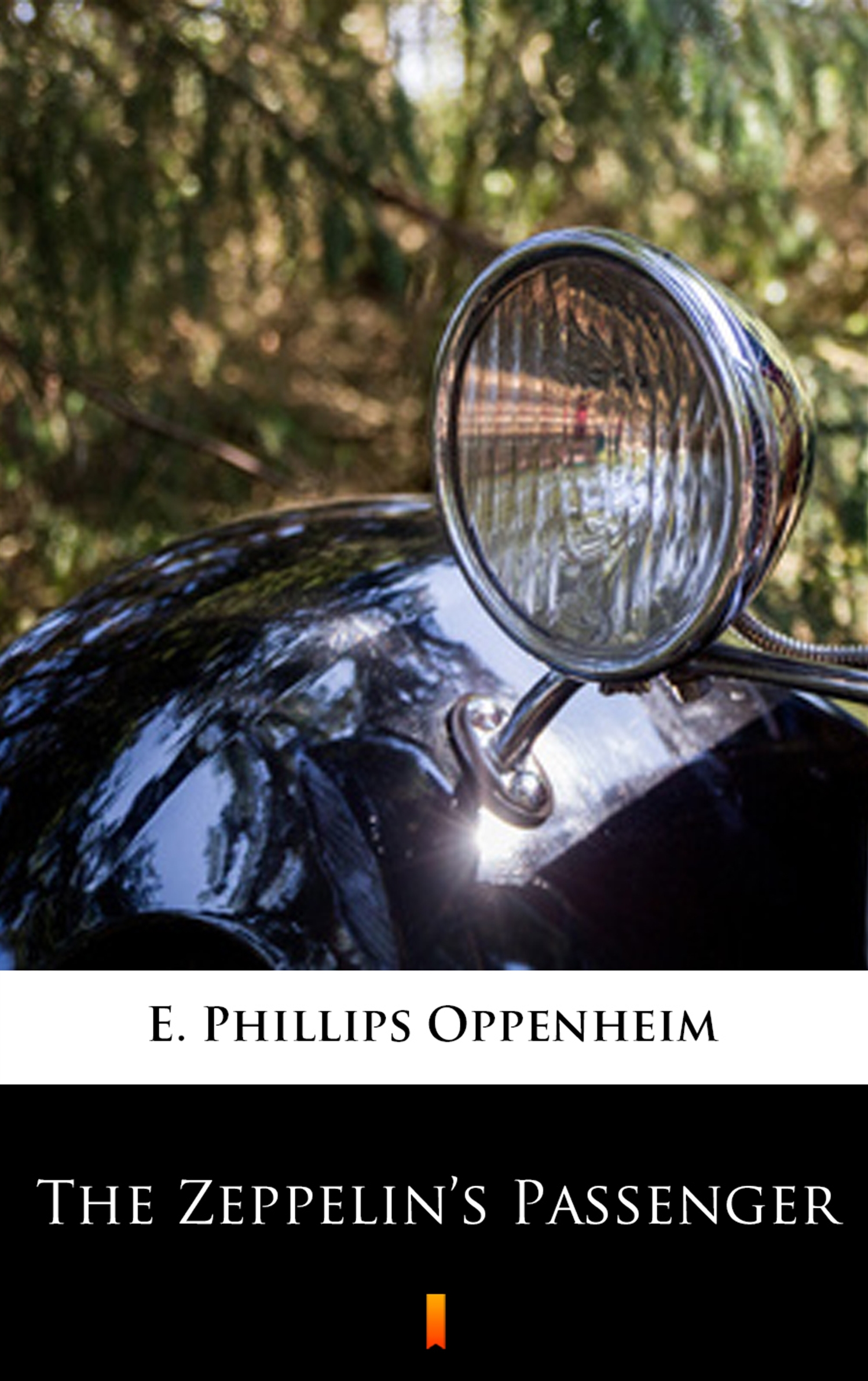 Обложка «The Zeppelin’s Passenger»
