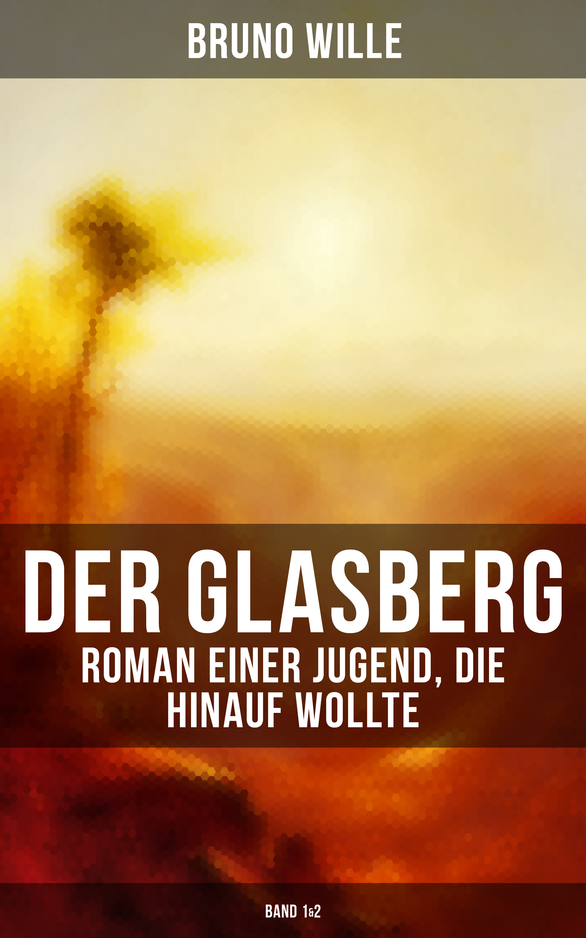 Bruno Wille DER GLASBERG: Roman einer Jugend, die hinauf wollte (Band 1&2) bruno wille der glasberg roman einer jugend die hinauf wollte band 1