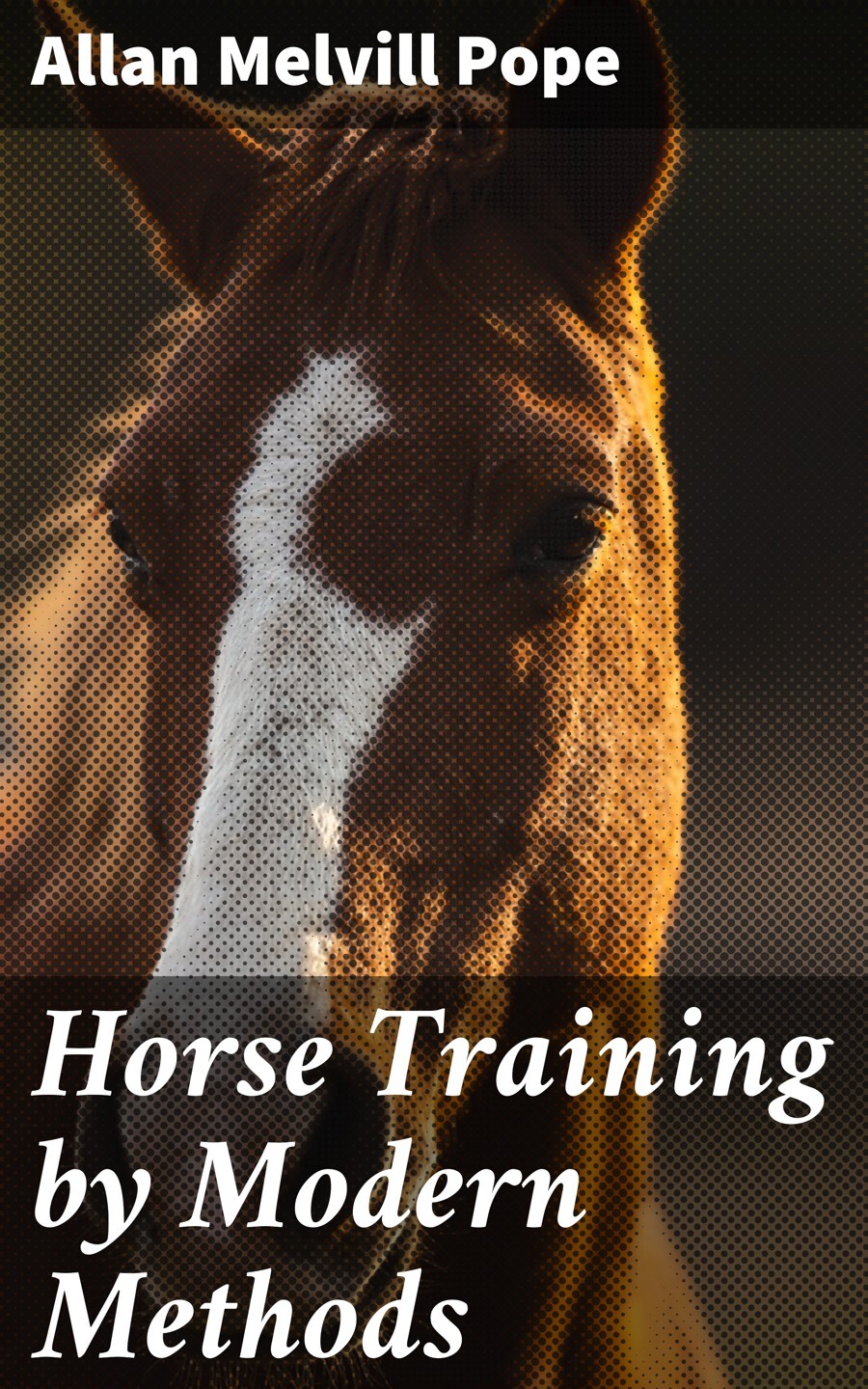 Horse Training by Modern Methods, Allan Melvill Pope – бесплатно читать ...