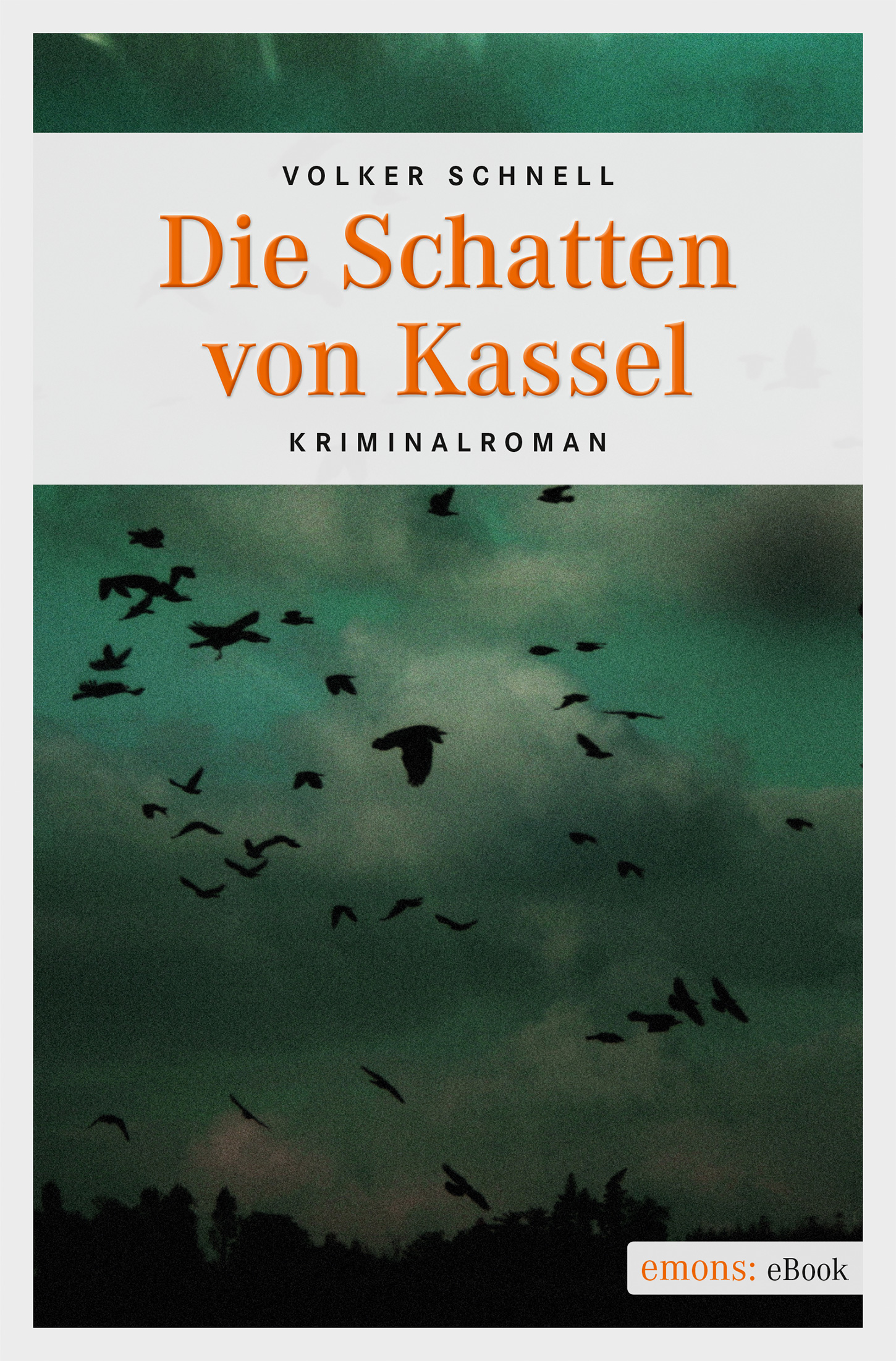 Volker Schnell Die Schatten von Kassel
