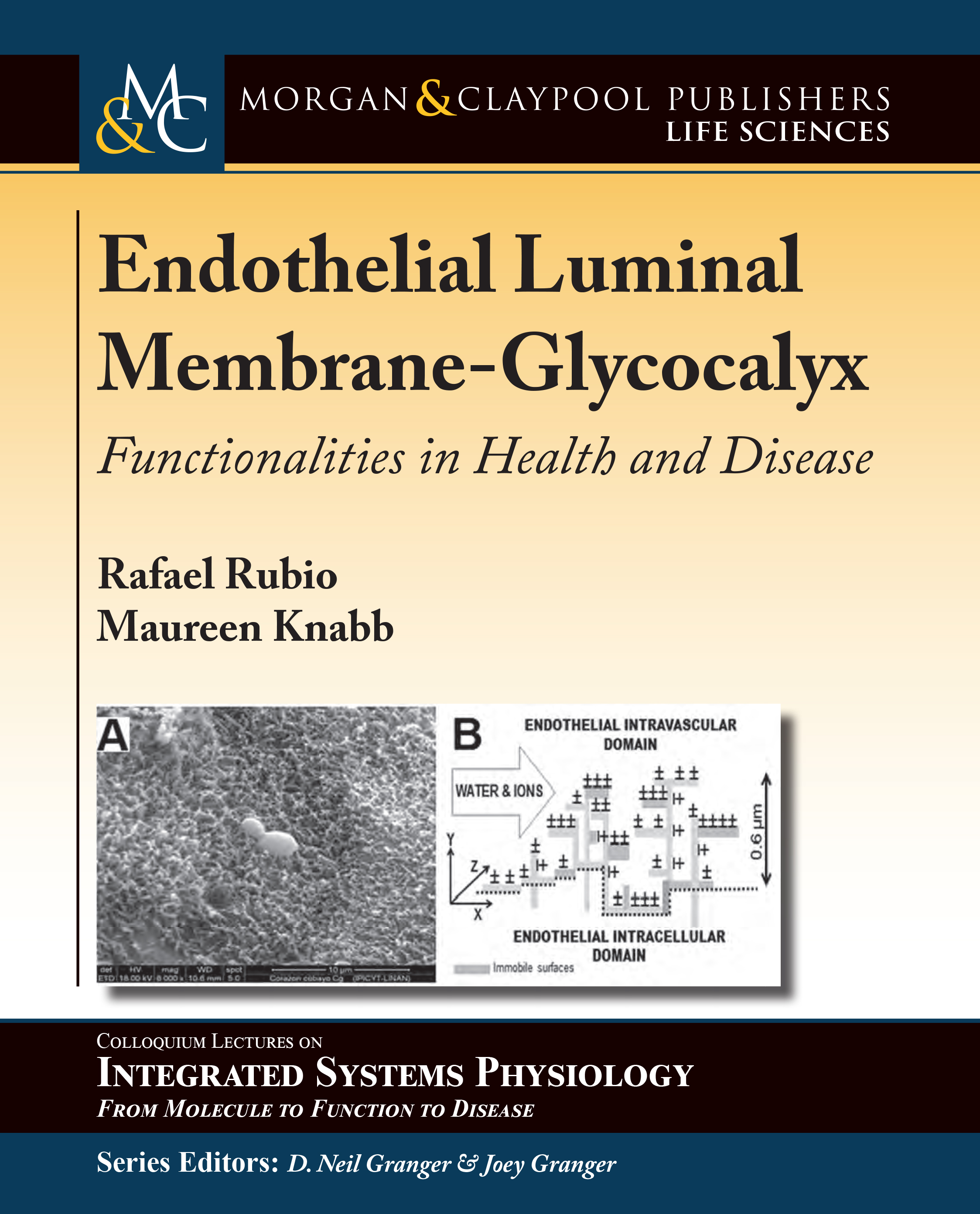 Endothelial Luminal Membrane-Glycocalyx