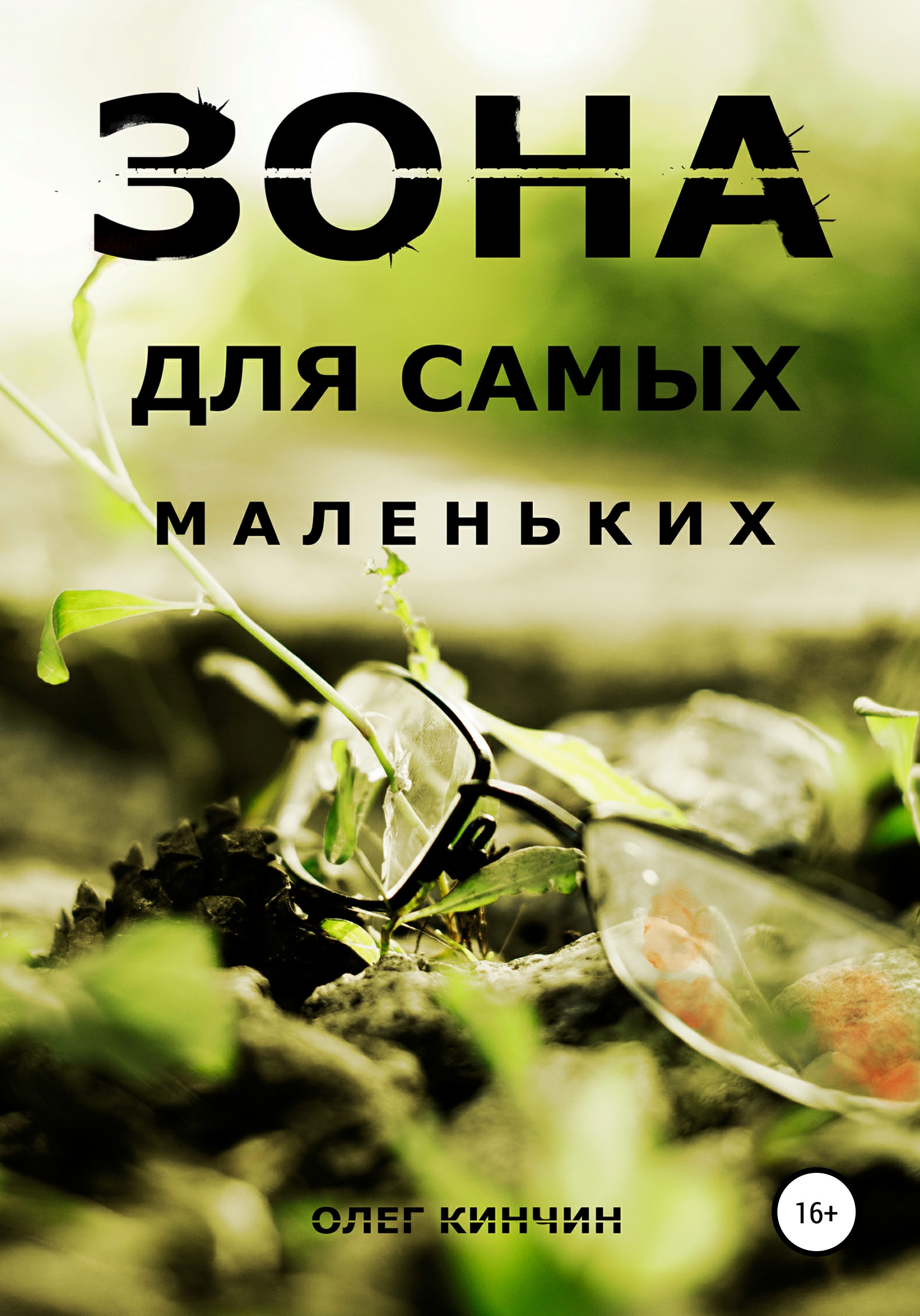 Сталкер. Зона для самых маленьких, Олег Кинчин – скачать книгу fb2, epub,  pdf на ЛитРес