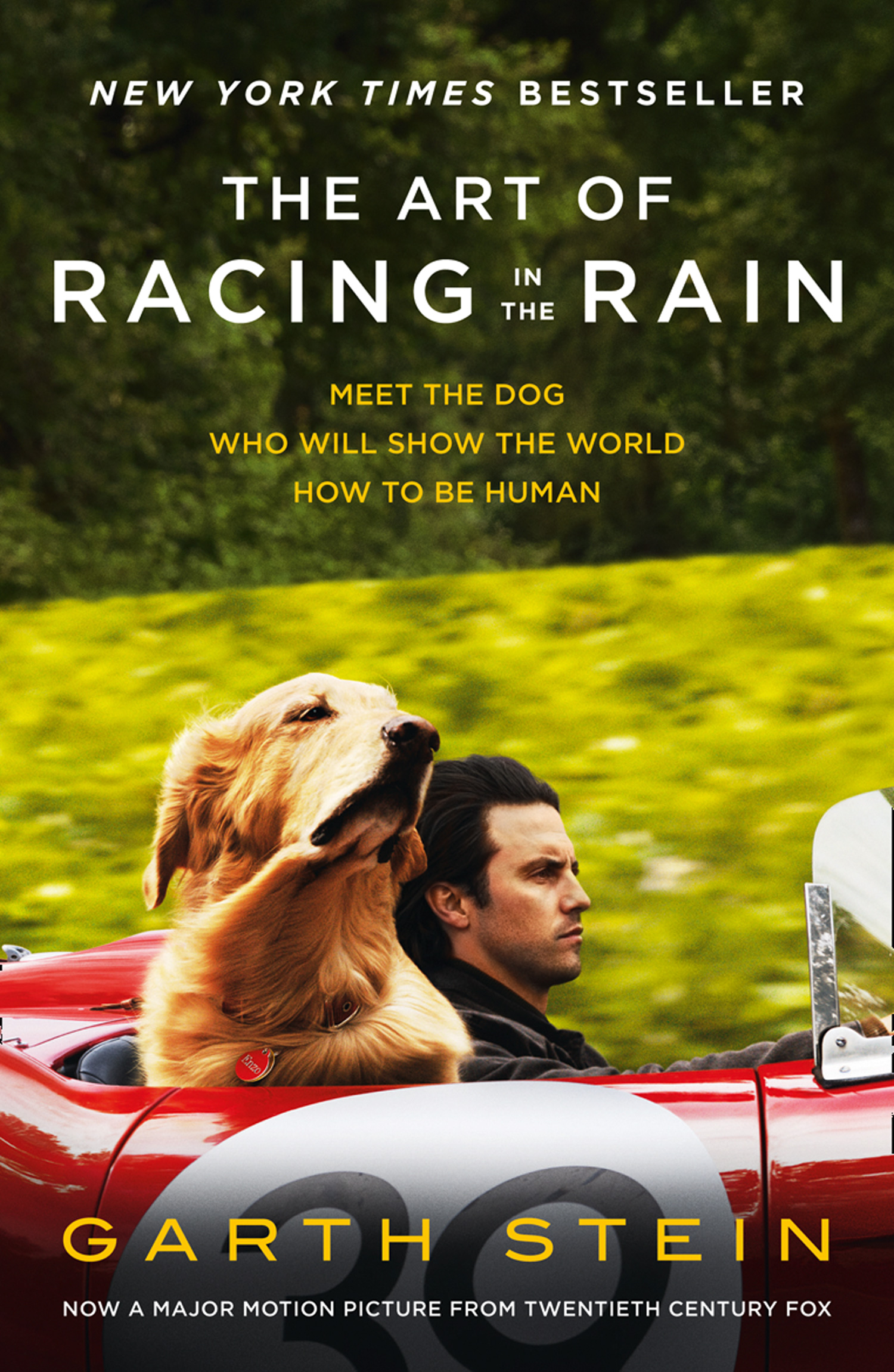 The Art of Racing in the Rain, Garth Stein – скачать книгу fb2, epub, pdf  на ЛитРес