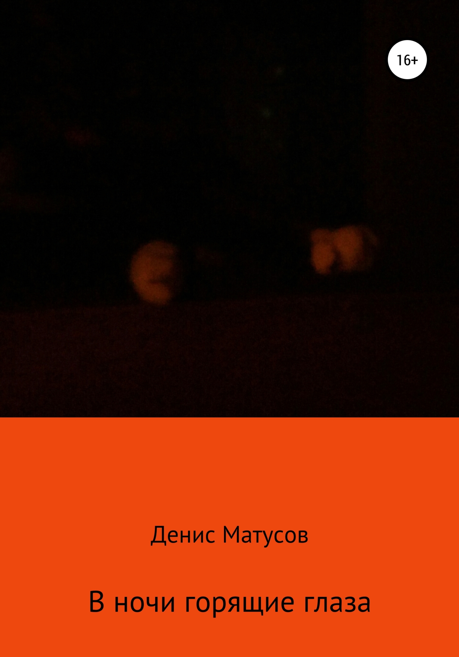 В ночи горящие глаза – Денис Матусов