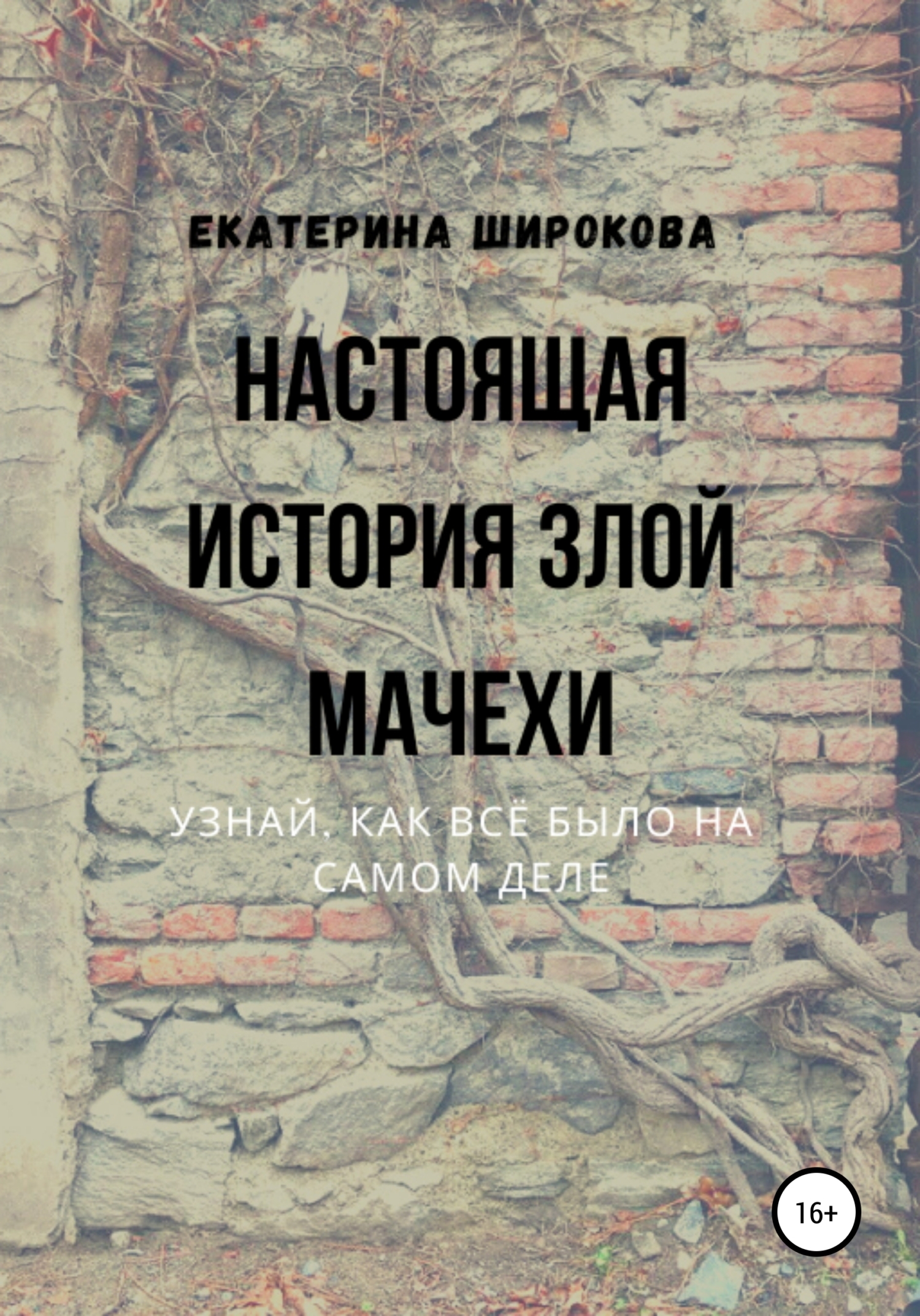 Настоящая история злой мачехи, Екатерина Николаевна Широкова – скачать  книгу fb2, epub, pdf на ЛитРес