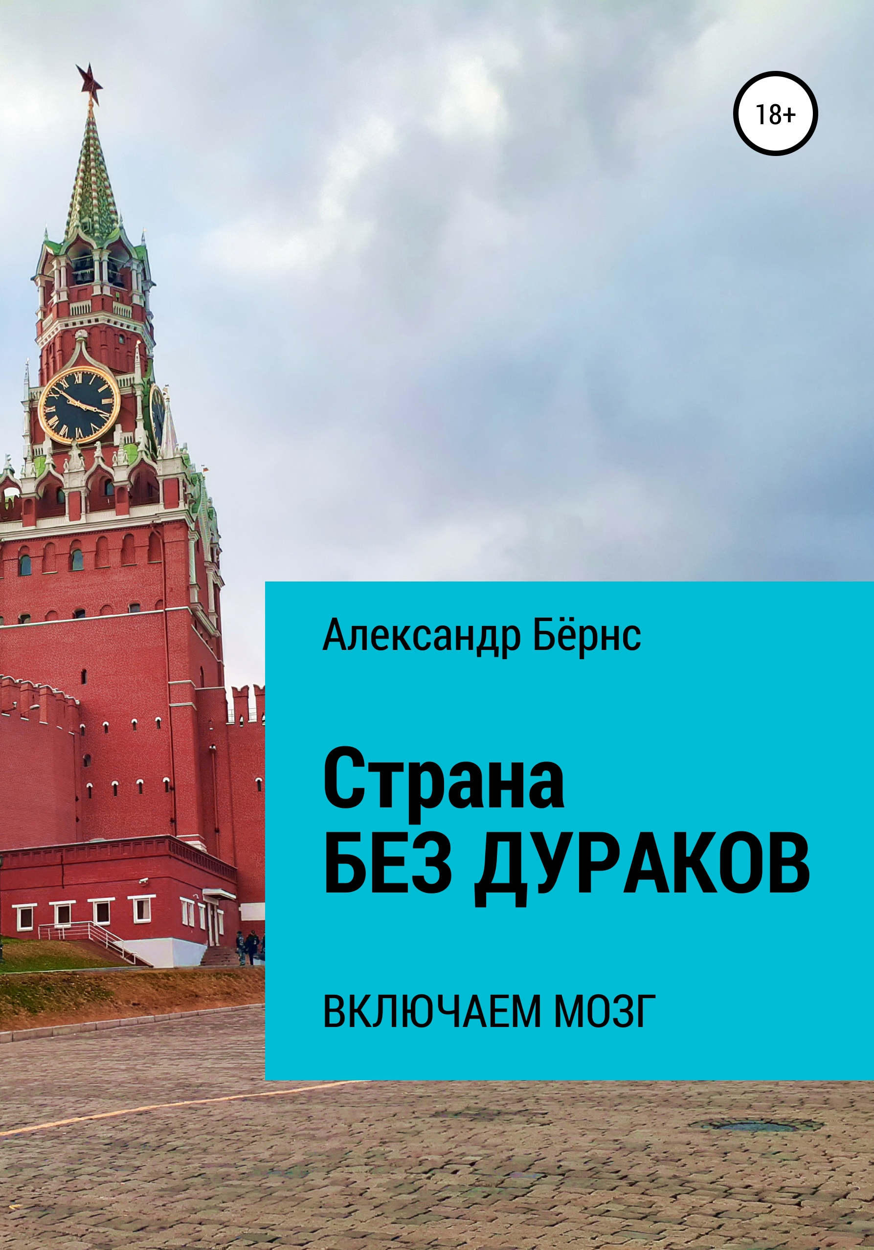 Страна без дураков: включаем мозг, Александр Бёрнс – скачать книгу fb2,  epub, pdf на ЛитРес