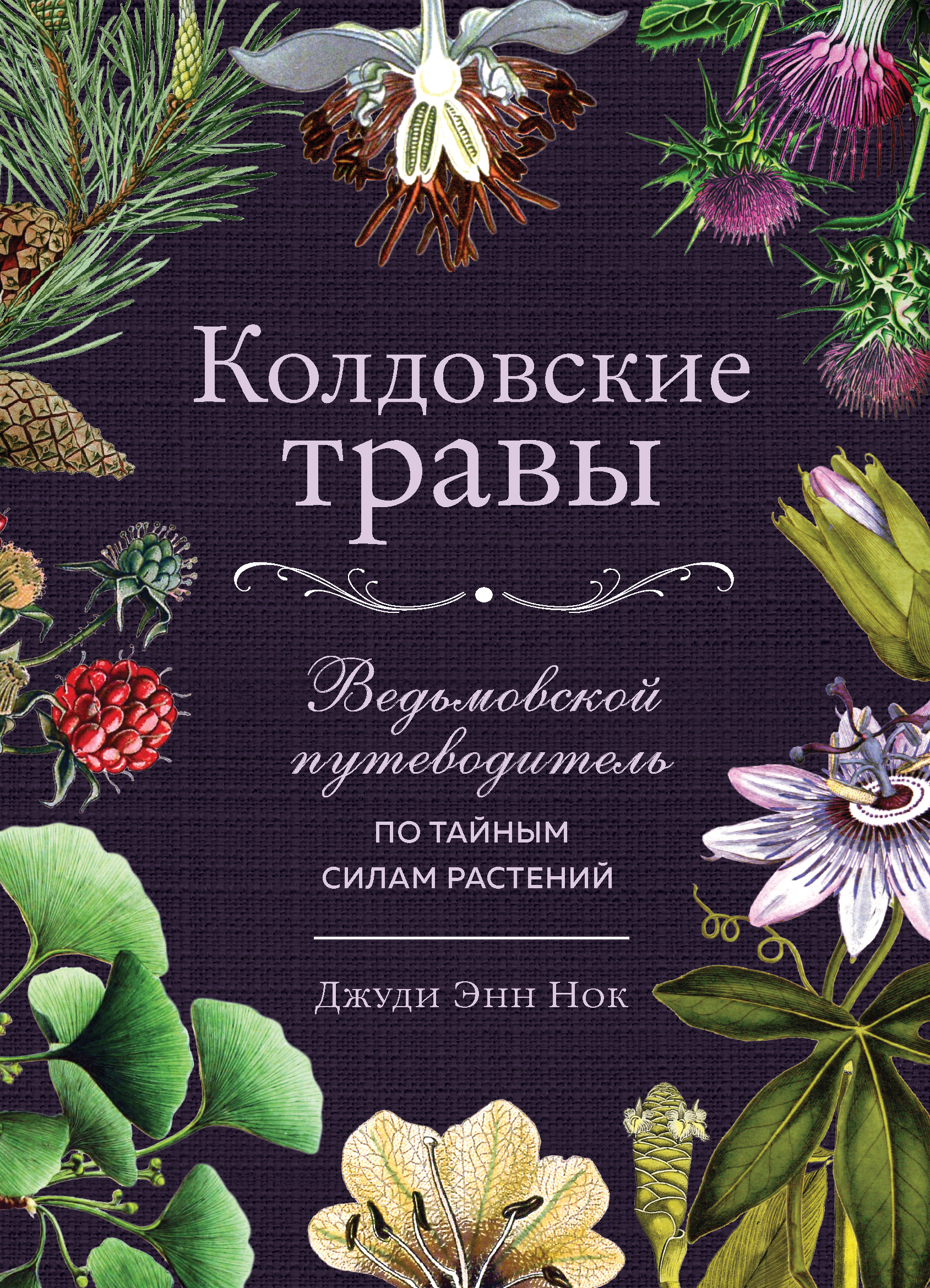 Колдовские травы. Ведьмовской путеводитель по тайным силам растений, Джуди  Энн Нок – скачать книгу fb2, epub, pdf на ЛитРес