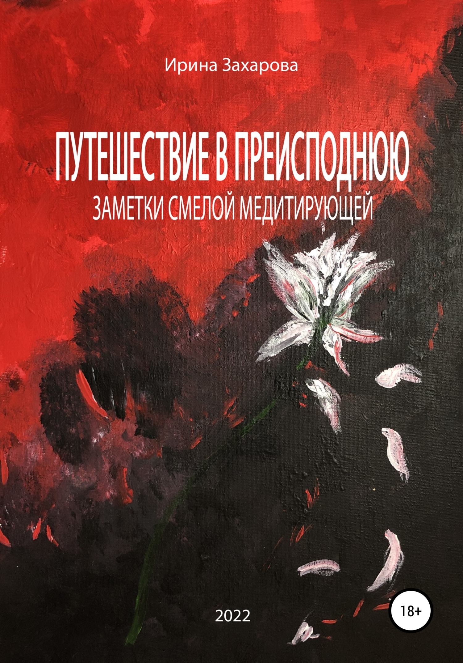 «Путешествие в Преисподнюю. Заметки смелой медитирующей» – Ирина  Владимировна Захарова | ЛитРес