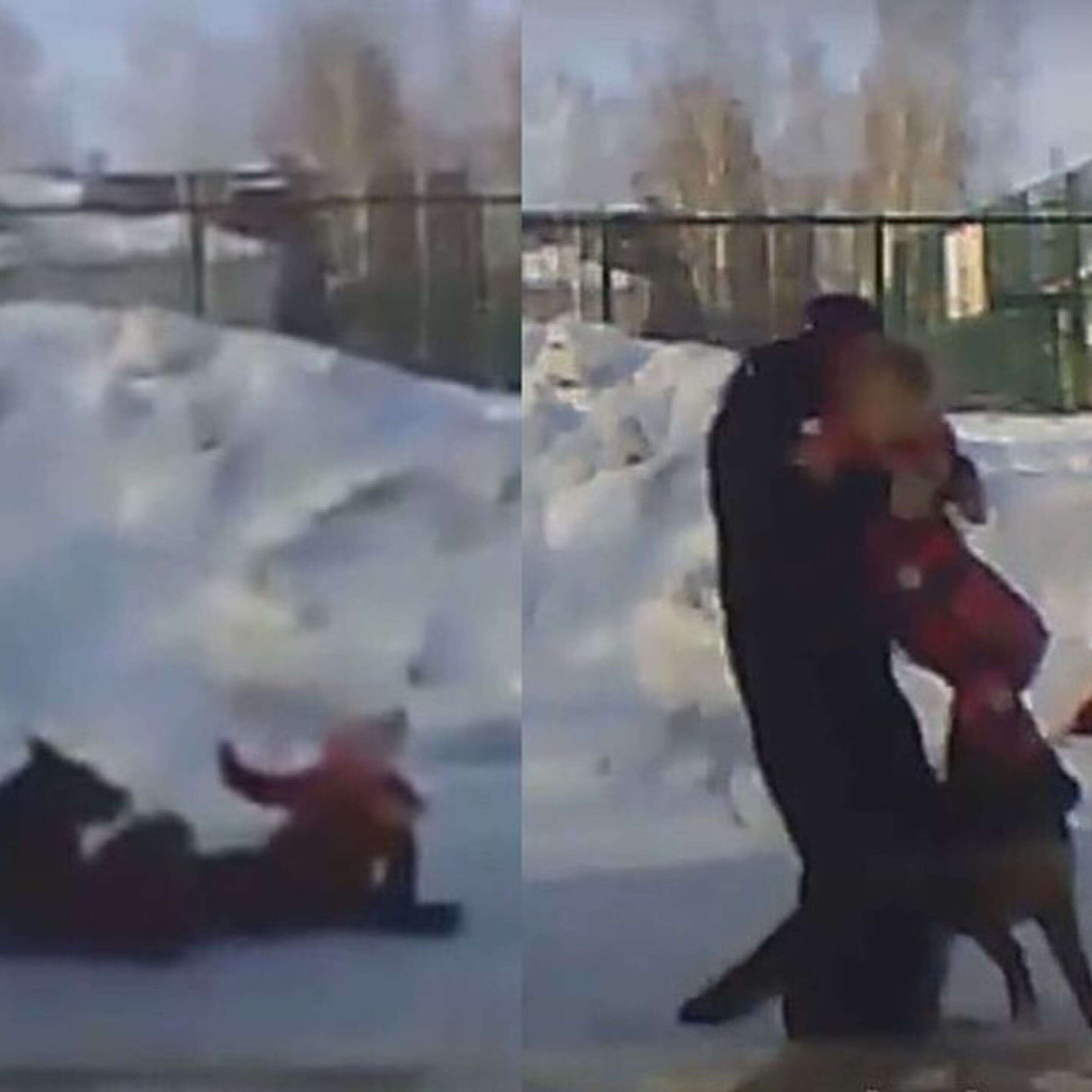 Детское нападение. Собака напала на ребенка в Новосибирске.
