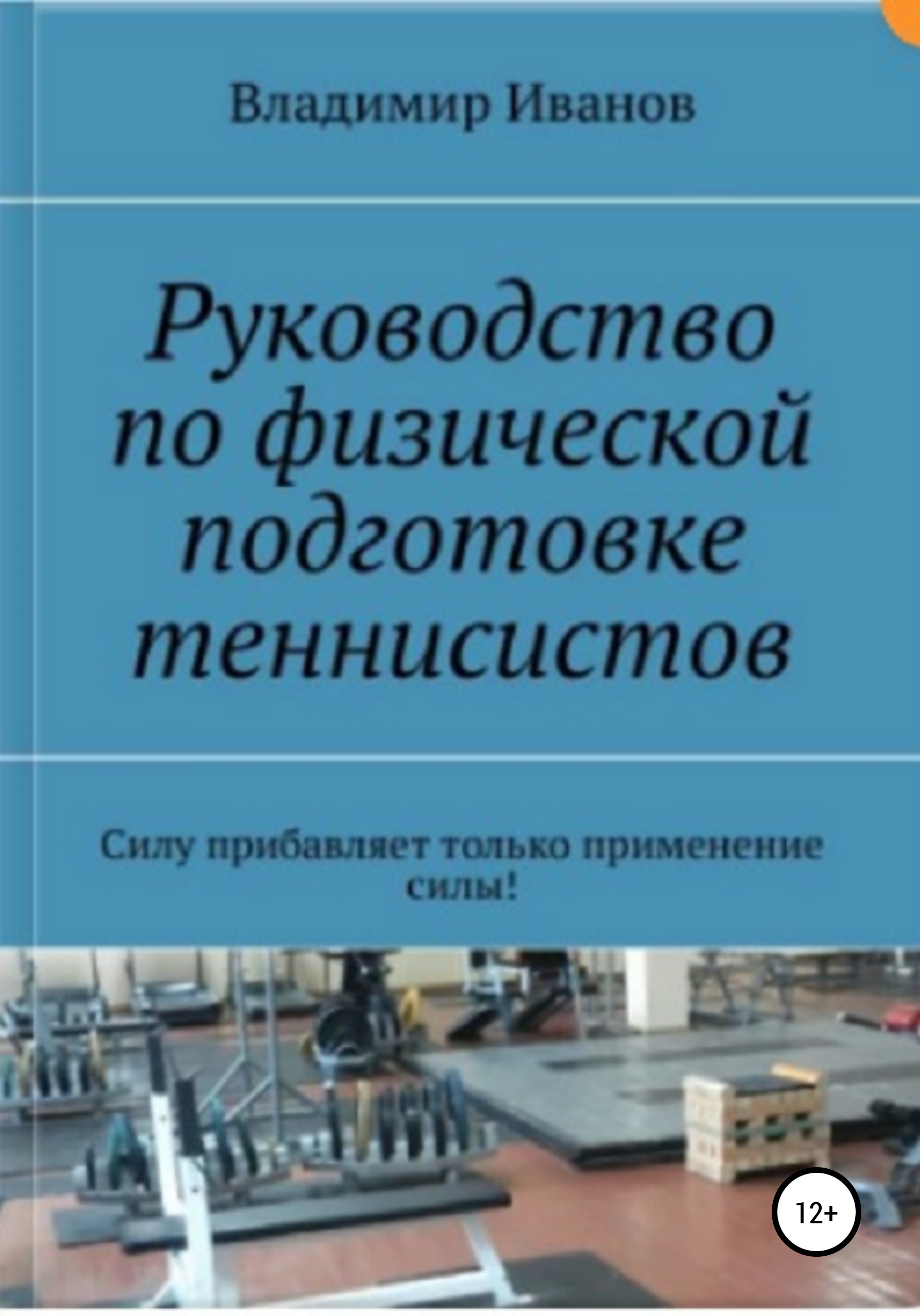 Руководство по физической подготовке теннисистов, Владимир Иванович Иванов  – скачать книгу fb2, epub, pdf на ЛитРес