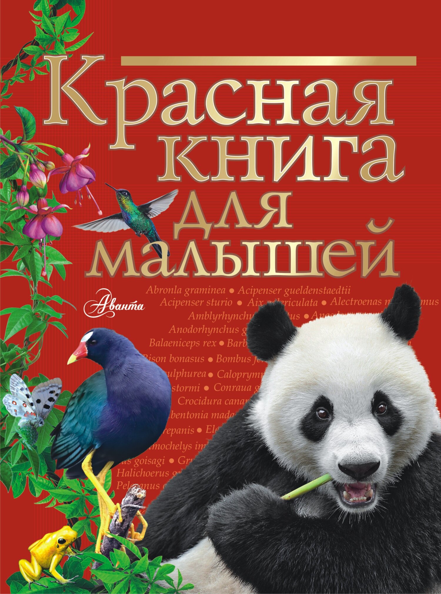 Красная книга для малышей, В. Г. Бабенко – скачать pdf на ЛитРес