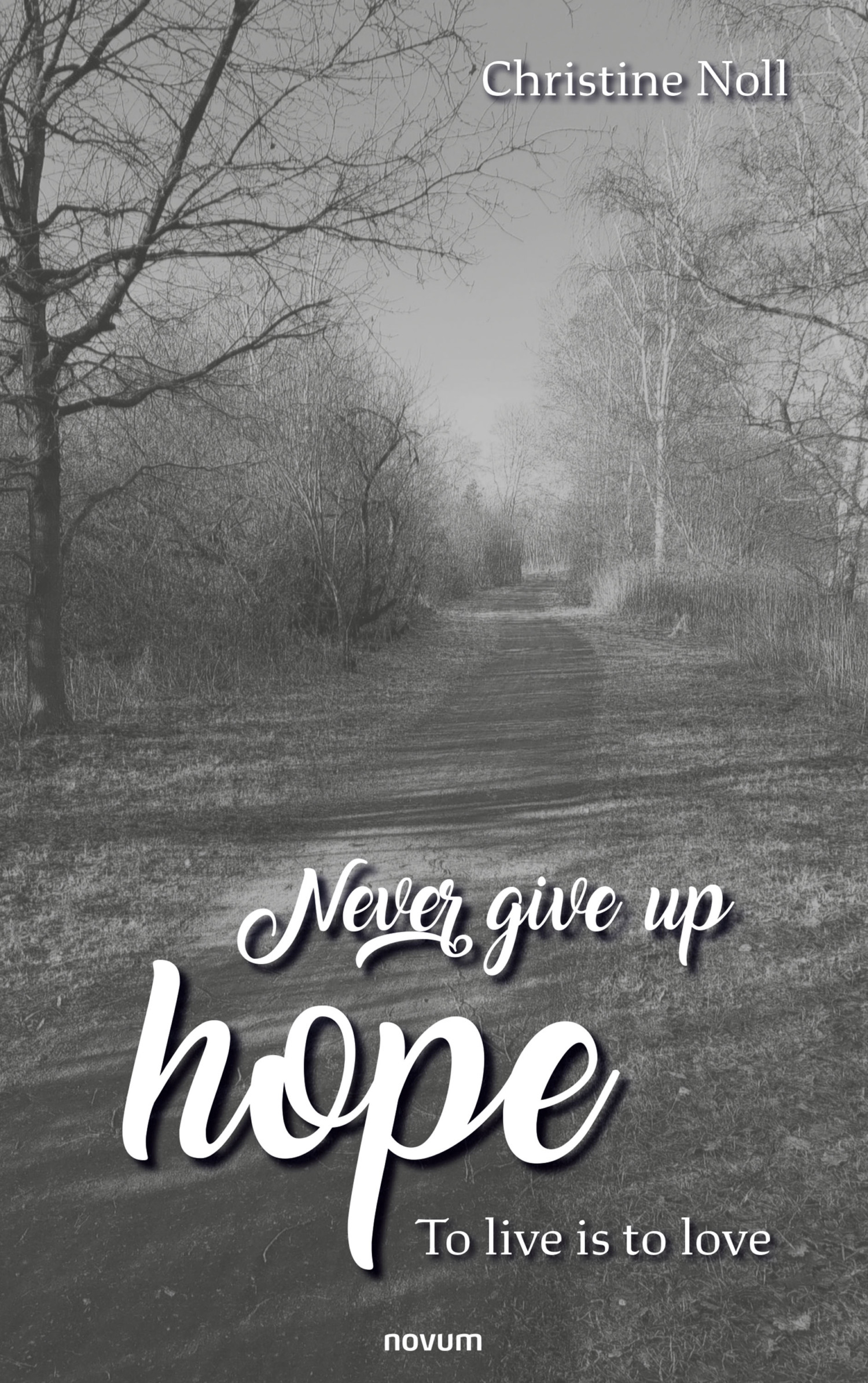 Never give up hope, Christine Noll – читать онлайн на ЛитРес