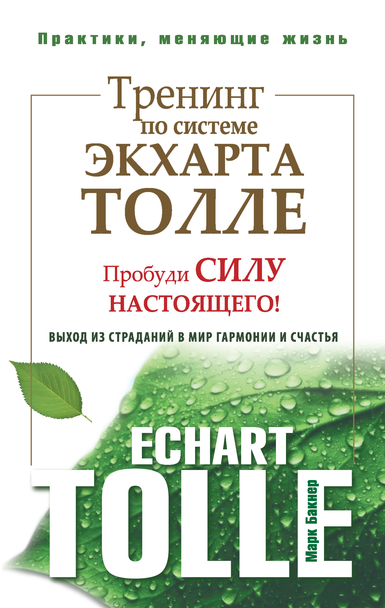 Сила настоящего. Бакнер - тренинг по системе Экхарта Толле. Экхарт Толле - пробуди силу настоящего. Марк Бакнер тренинг по системе Экхарта Толле. Выход из страданий в мир гармонии и счастья. Экхарт Толле.