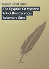 The Egyptian Cat Mystery: A Rick Brant Science-Adventure Story