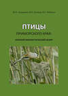 Птицы Приморского края: краткий фаунистический обзор