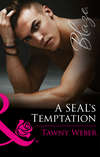 A SEAL's Temptation