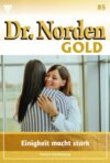 Dr. Norden Gold 85 – Arztroman