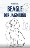 Beagle der Jagdhund