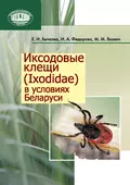 Иксодовые клещи (Ixodidae) в условиях Беларуси - Е. И. Бычкова