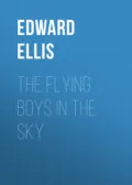 The Flying Boys in the Sky - Ellis Edward Sylvester