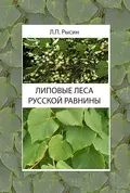 Липовые леса Русской равнины - Л. П. Рысин