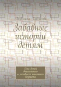 Забавные истории детям. Для детей дошкольного и младшего школьного возраста - Людмила Андреевна Худякова