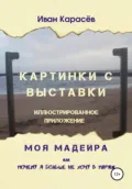 Картинки с выставки – иллюстрированное приложение. Моя Мадейра, или Почему я больше не хочу в Париж - Иван Карасёв