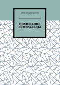 ПОХИЩЕНИЕ ЭСМЕРАЛЬДЫ - Александр Владимирович Зорькин