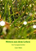 Mitten aus dem Leben - Caro Stein