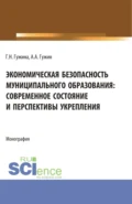 Экономическая безопасность муниципального образования: современное состояние и перспективы укрепления. (Аспирантура, Бакалавриат, Магистратура). Монография. - Александр Александрович Гужин