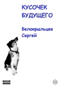 Кусочек будущего - Сергей Валерьевич Белокрыльцев