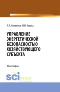 Управление энергетической безопасностью хозяйствующего субъекта. (Бакалавриат, Магистратура). Учебно-методическое пособие. - Маргарита Николаевна Кузина