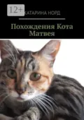 Похождения Кота Матвея - Катарина Норд