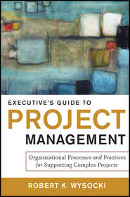 Executive\'s Guide to Project Management. Organizational Processes and Practices for Supporting Complex Projects