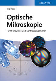 Optische Mikroskopie. Funktionsweise und Kontrastierverfahren