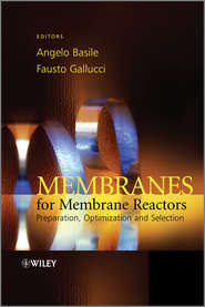 Membranes for Membrane Reactors. Preparation, Optimization and Selection