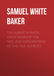 The Albert N\'Yanza, Great Basin of the Nile, And Explorations of the Nile Sources