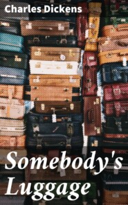 Somebody\'s Luggage